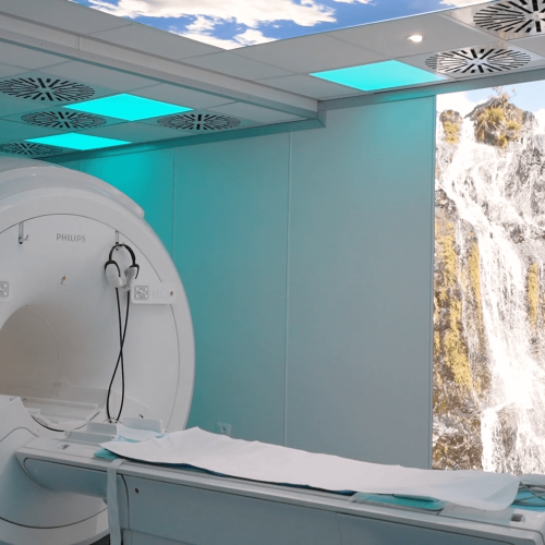 Medi Saluser Servizi (2)